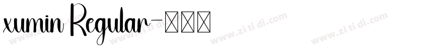 xumin Regular字体转换